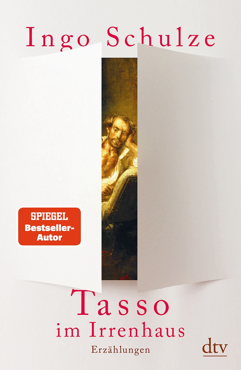 19_Cover »Tasso im Irrenhaus«_web