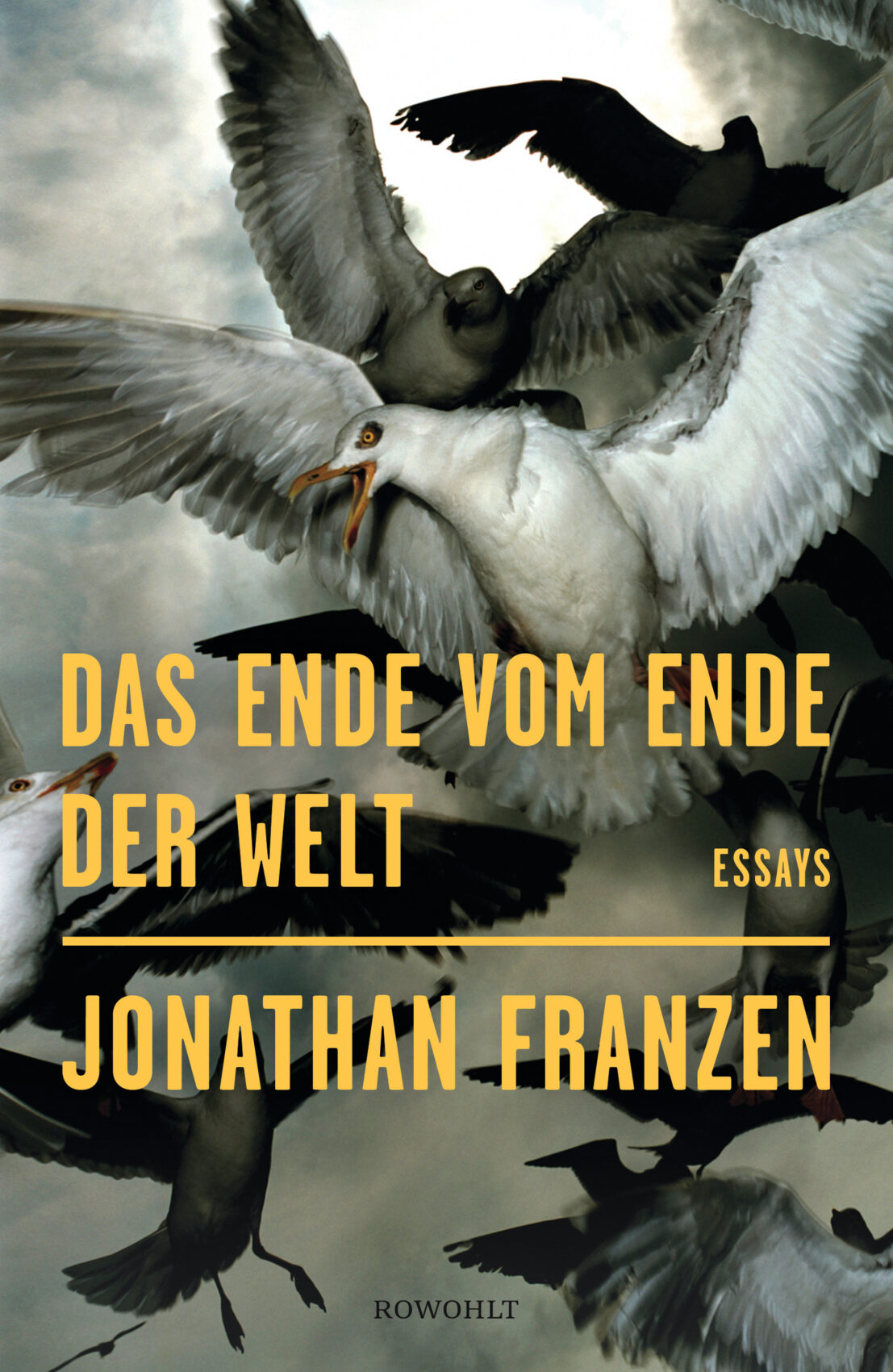 Cover Franzen Das Ende vom Ende der Welt
